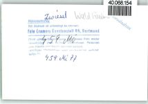 94227 W8372 Zwiesel FOTO KEINE AK Waldhäuser
