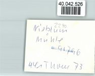 25938 W2270 Nieblum FOTO KEINE AK Windmühle