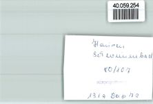 53547 W5454 Hausen (Wied) FOTO KEINE AK Hallenbad Innenaufnahme