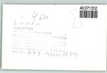44532 W4670 Lünen FOTO KEINE AK Im Gasthaus