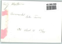 69245 W6919 Bammental FOTO KEINE AK R4 aus Heidelberg