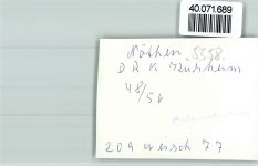 53902 W5358 Nöthen FOTO KEINE AK DRK Kurheim