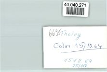 66636 W6695 Tholey FOTO KEINE AK Dom
