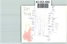 25859 W2251 Hooge , Hallig FOTO KEINE AK