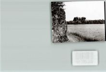 54550 W5568 Daun FOTO KEINE AK Maar