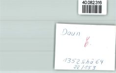 54550 W5568 Daun FOTO KEINE AK Maar
