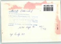26603 W2960 Aurich , Ostfriesland FOTO KEINE AK Erhebe Deine Stimme