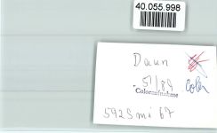 54550 W5568 Daun FOTO KEINE AK Ortsansicht
