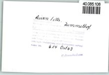54340 W5501 Leiwen FOTO KEINE AK Zummethof