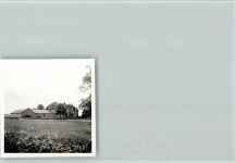 48720 W4428 Osterwick , Westf Foto AK Foto 6x6cm