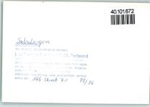 48499 W4442 Salzbergen FOTO KEINE AK