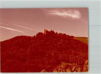 56859 W5584 Alf FOTO KEINE AK Burg Arres