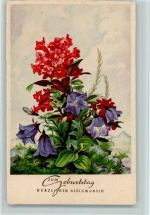 Roter und blauer Fingerhut Geburtstag