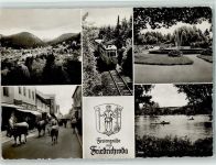 99894 O5804 Friedrichroda - Ortsansichten Mehrfachaufnahme Springbrunnen Straßenbahn Kühe