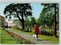 Lulea - Parkmotiv Hund