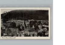 75365 W7260 Hirsau