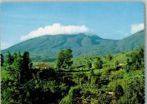 Puncak