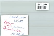 66620 W6696 Otzenhausen FOTO KEINE AK