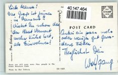 Montpelier - Kuh auf einer Wiese