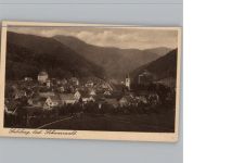 79295 W7811 Sulzburg , Baden