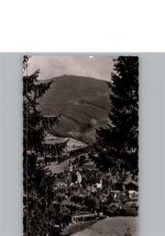 79183 W7808 Waldkirch , Breisgau