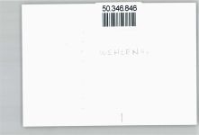 54470 W5553 Wehlen, Mosel - Foto-Karte