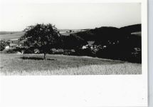56355 W5428 Diethardt - Foto