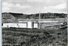 97855 W8771 Trennfeld - König & Bauer