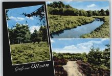 21271 W2116 Ollsen , Nordheide