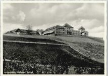 65366 W6222 Johannisberg , Rheingau