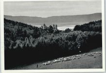 56653 W5471 Maria Laach , Eifel