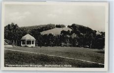 72525 W7420 Münsingen , Württ - Musikpavillon , Hörnie