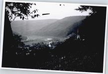 56867 W5589 Briedel - Foto