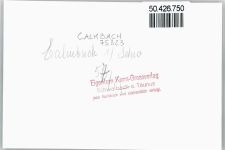 75323 W7547 Calmbach - Foto