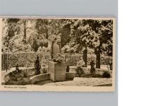 56068 W5400 Arenberg
