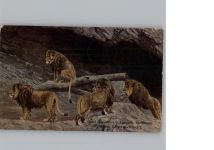 W2000 Stellingen Tierpark Zoo