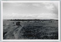 Wehrmacht , Foto , Klebereste siehe Rückseite Motorrad
