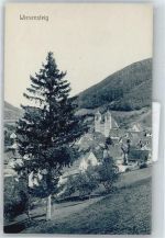 73349 W7346 Wiesensteig - Berg Haus Baum Wiese