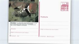 88348 W7968 Saulgau - Störche , Ganzsache 13/194-1.85