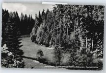 95236 W8664 Stammbach - Perlenbachtal