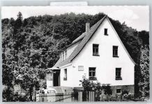 34537 W3590 Frebershausen - Pension Haus Brigitte Zaun Baum