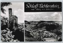 72805 W7414 Lichtenstein , Württ - Schloss Gesamtansicht Berg Haus Baum