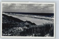 Meer und Dünen