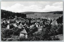 61389 W6384 Schmitten , Taunus