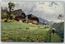 Schwarzwaldbahn Hoffmann, H.