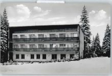 61389 W6384 Niederreifenberg , Taunus - Waldhotel Baum Schnee Balkon