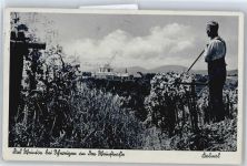 Weinernte in Schweigen Wein