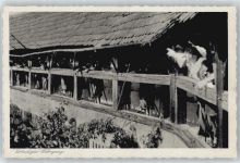 91550 W8804 Dinkelsbühl - Kinderzeche