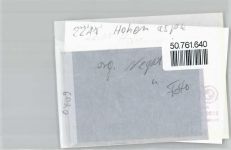 25582 W2211 Hohenaspe FOTO KEINE AK Foto mit Negativ