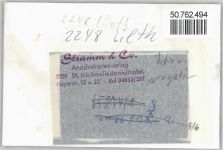 25770 W2248 Lieth FOTO KEINE AK Foto mit Negativ